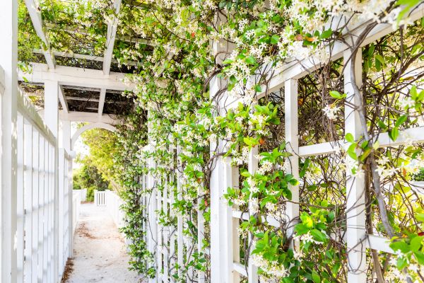 Cost of Trellis Repair in Bountiful