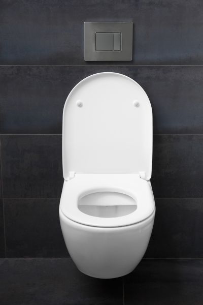 Cost of Toilet Lid Installation in Bountiful