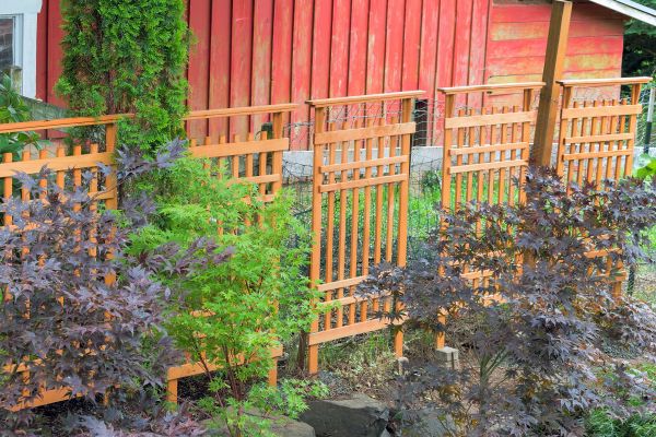 Wood Trellis Mounting in Bountiful